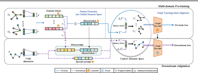 Figure 1 for Multi-Domain Graph Foundation Models: Robust Knowledge Transfer via Topology Alignment