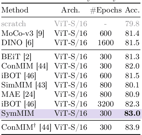 Figure 3 for Symmetric masking strategy enhances the performance of Masked Image Modeling