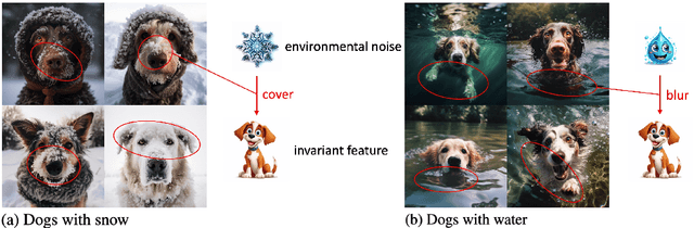 Figure 1 for Invariant Correlation of Representation with Label