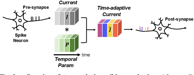 Figure 3 for Spiking Diffusion Models