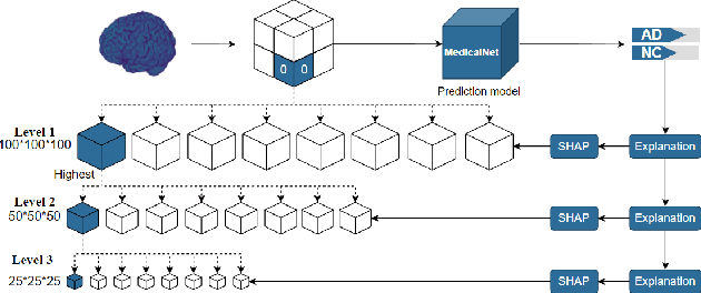 Figure 2 for sMRI-PatchNet: A novel explainable patch-based deep learning network for Alzheimer's disease diagnosis and discriminative atrophy localisation with Structural MRI
