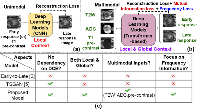 Figure 1 for DCE-FORMER: A Transformer-based Model With Mutual Information And Frequency-based Loss Functions For Early And Late Response Prediction In Prostate DCE-MRI