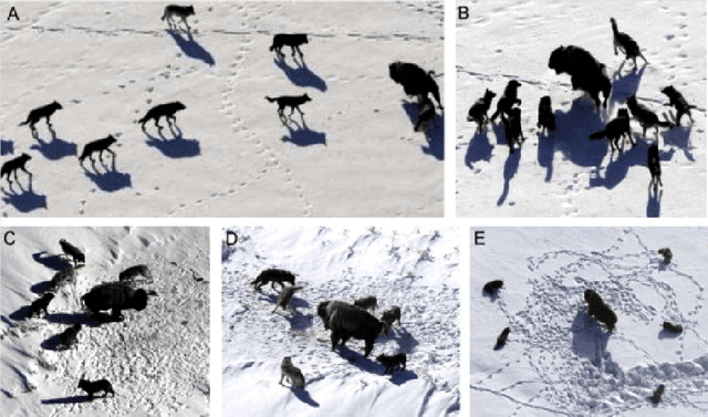 Figure 1 for Enhancing Multistep Brent Oil Price Forecasting with a Multi-Aspect Metaheuristic Optimization Approach and Ensemble Deep Learning Models