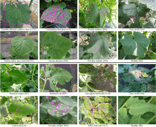 Figure 2 for Towards Robust Plant Disease Diagnosis with Hard-sample Re-mining Strategy