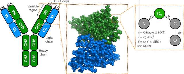 Figure 1 for De novo antibody design with SE diffusion