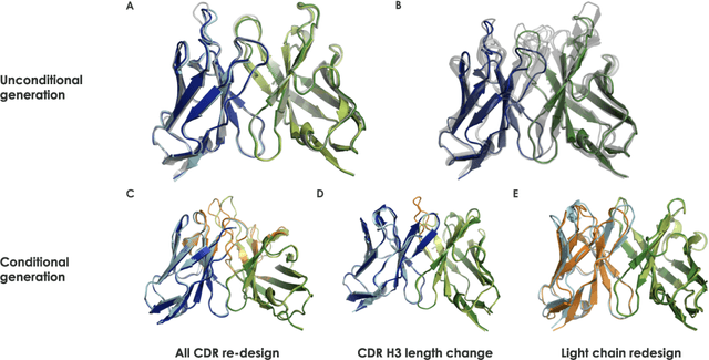 Figure 3 for De novo antibody design with SE diffusion
