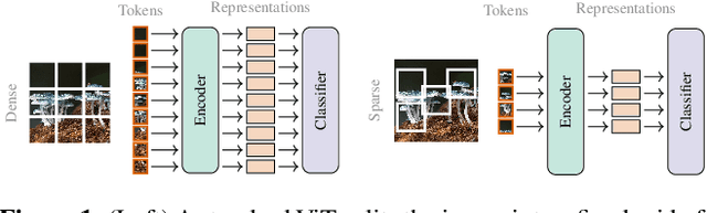 Figure 1 for SPoT: Subpixel Placement of Tokens in Vision Transformers