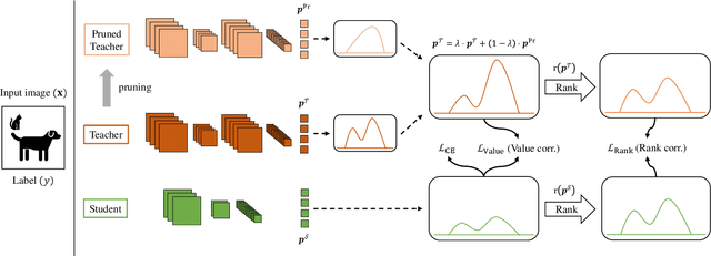 Figure 2 for Robustness-Reinforced Knowledge Distillation with Correlation Distance and Network Pruning