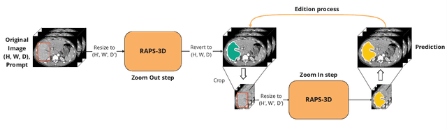 Figure 1 for RAPS-3D: Efficient interactive segmentation for 3D radiological imaging