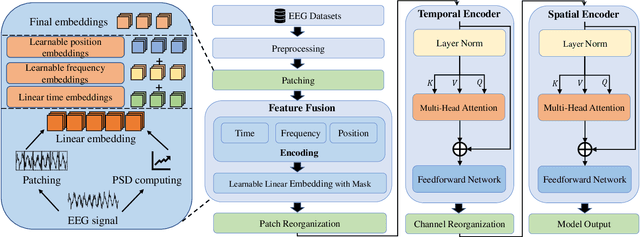 Figure 1 for A Simple Review of EEG Foundation Models: Datasets, Advancements and Future Perspectives