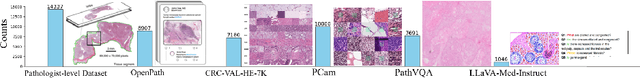 Figure 3 for PathInsight: Instruction Tuning of Multimodal Datasets and Models for Intelligence Assisted Diagnosis in Histopathology