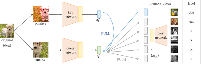 Figure 3 for Safe Semi-Supervised Contrastive Learning Using In-Distribution Data as Positive Examples