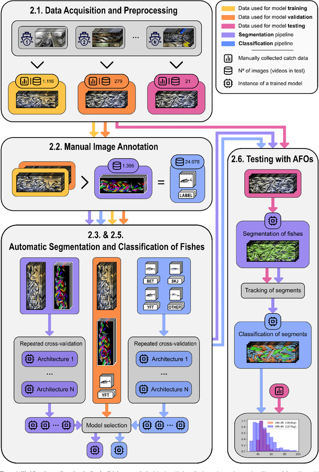 Figure 1 for Deep Learning for Accurate Vision-based Catch Composition in Tropical Tuna Purse Seiners