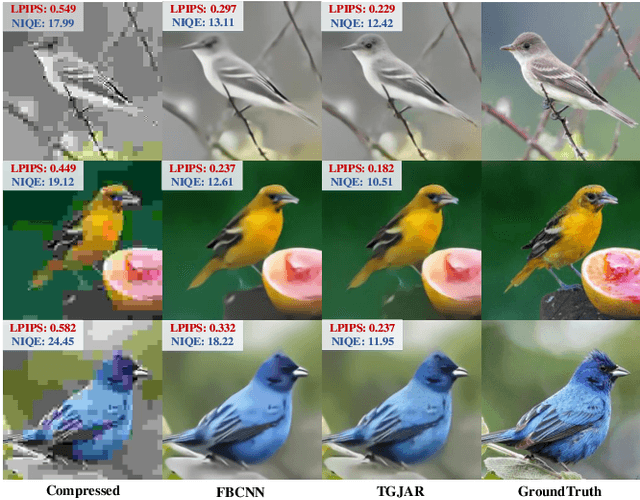 Figure 1 for Multi-Modality Deep Network for JPEG Artifacts Reduction