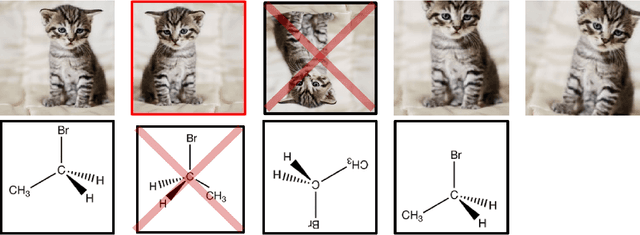 Figure 2 for Icospherical Chemical Objects (ICOs) allow for chemical data augmentation and maintain rotational, translation and permutation invariance