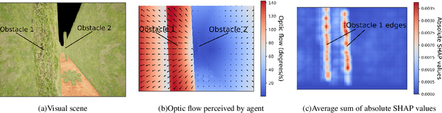 Figure 3 for Understanding visual attention beehind bee-inspired UAV navigation