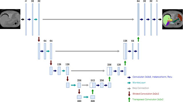 Figure 3 for Taming Mambas for Voxel Level 3D Medical Image Segmentation