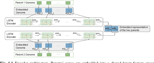 Figure 1 for Deep Learning-Based Operators for Evolutionary Algorithms