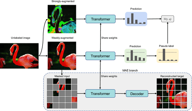 Figure 1 for Semi-MAE: Masked Autoencoders for Semi-supervised Vision Transformers