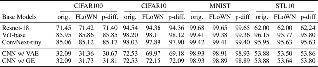 Figure 1 for Flow to Learn: Flow Matching on Neural Network Parameters