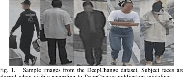 Figure 1 for Dissecting Human Body Representations in Deep Networks Trained for Person Identification