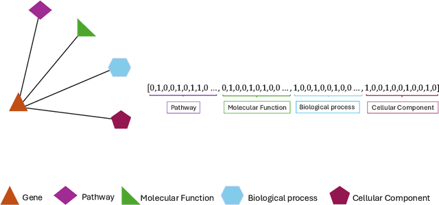 Figure 1 for VitaGraph: Building a Knowledge Graph for Biologically Relevant Learning Tasks
