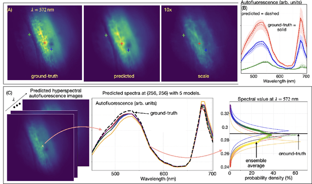 Figure 2 for HAMscope: a snapshot Hyperspectral Autofluorescence Miniscope for real-time molecular imaging
