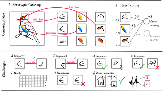 Figure 1 for This looks like what? Challenges and Future Research Directions for Part-Prototype Models