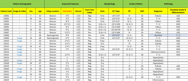 Figure 4 for ERCPMP: An Endoscopic Image and Video Dataset for Colorectal Polyps Morphology and Pathology