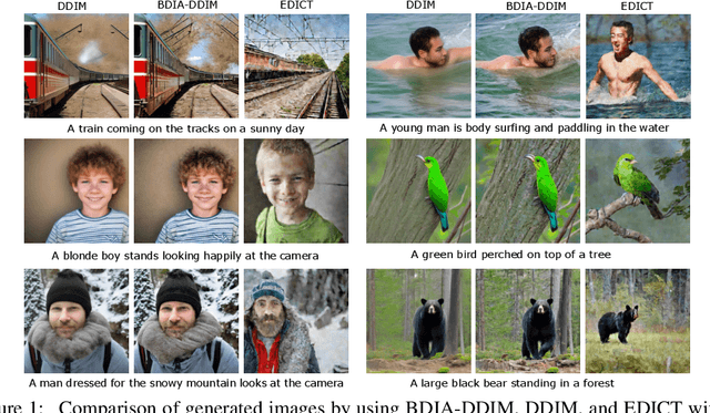 Figure 1 for Exact Diffusion Inversion via Bi-directional Integration Approximation