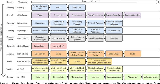 Figure 1 for Are Large Language Models a Good Replacement of Taxonomies?