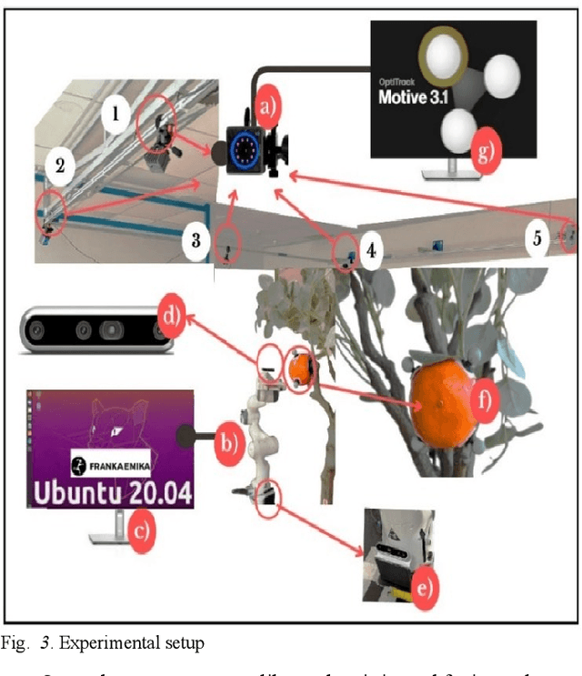 Figure 3 for Multi-vision-based Picking Point Localisation of Target Fruit for Harvesting Robots