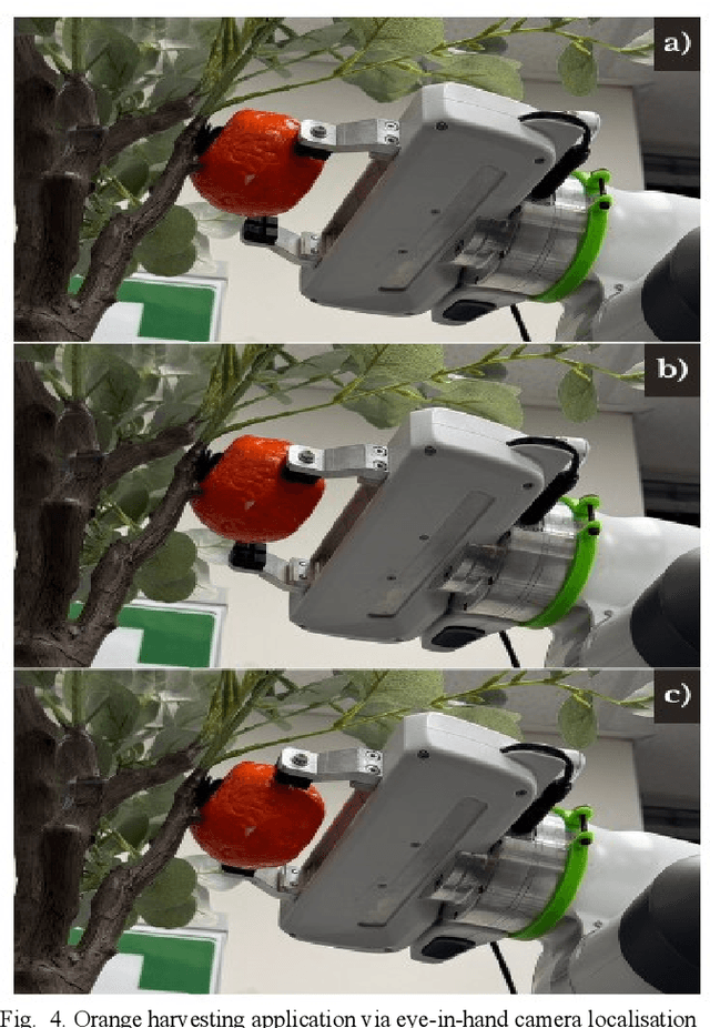 Figure 4 for Multi-vision-based Picking Point Localisation of Target Fruit for Harvesting Robots