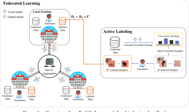 Figure 1 for Federated Active Learning Framework for Efficient Annotation Strategy in Skin-lesion Classification