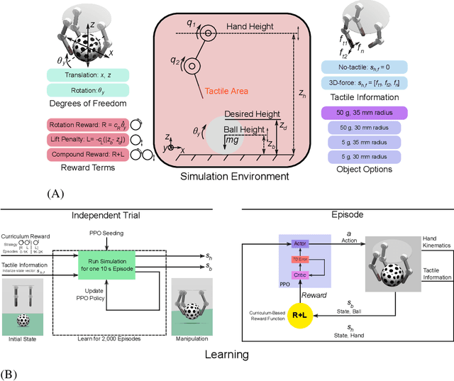 Figure 1 for Curriculum Is More Influential Than Haptic Information During Reinforcement Learning of Object Manipulation Against Gravity