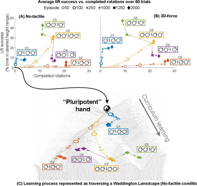 Figure 3 for Curriculum Is More Influential Than Haptic Information During Reinforcement Learning of Object Manipulation Against Gravity