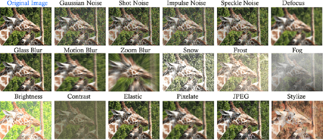 Figure 3 for Are Multimodal Models Robust to Image and Text Perturbations?