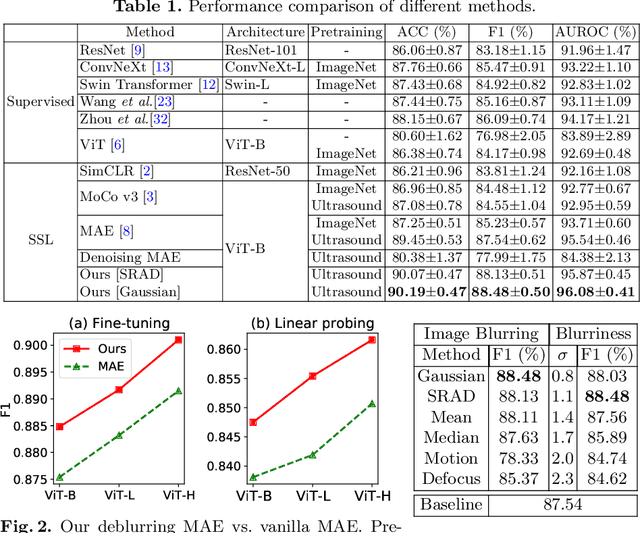 Figure 2 for Deblurring Masked Autoencoder is Better Recipe for Ultrasound Image Recognition