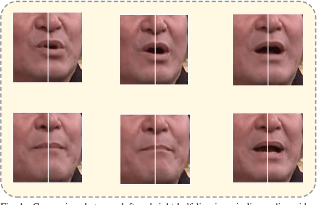 Figure 1 for RAL:Redundancy-Aware Lipreading Model Based on Differential Learning with Symmetric Views