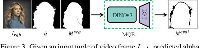Figure 4 for MatAnyone 2: Scaling Video Matting via a Learned Quality Evaluator