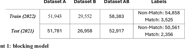 Figure 3 for Leveraging Language Models for Automated Patient Record Linkage