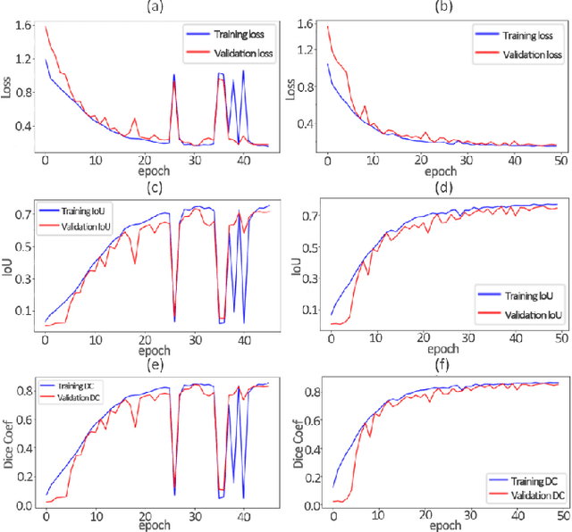 Figure 4 for Feature Imitating Networks Enhance The Performance, Reliability And Speed Of Deep Learning On Biomedical Image Processing Tasks