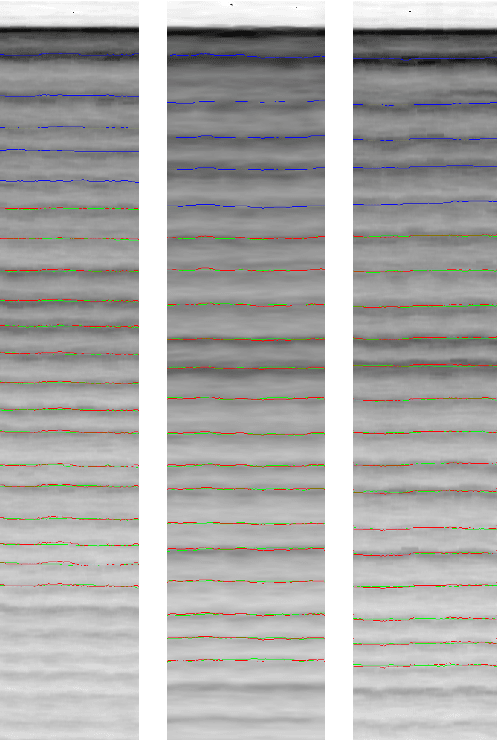 Figure 2 for GRIT: Graph Transformer For Internal Ice Layer Thickness Prediction