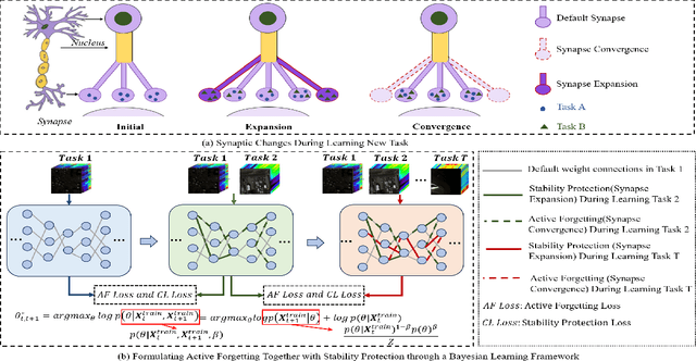 Figure 2 for CL-BioGAN: Biologically-Inspired Cross-Domain Continual Learning for Hyperspectral Anomaly Detection