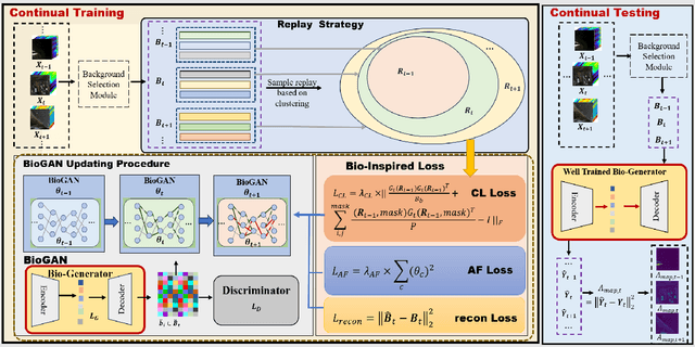 Figure 3 for CL-BioGAN: Biologically-Inspired Cross-Domain Continual Learning for Hyperspectral Anomaly Detection