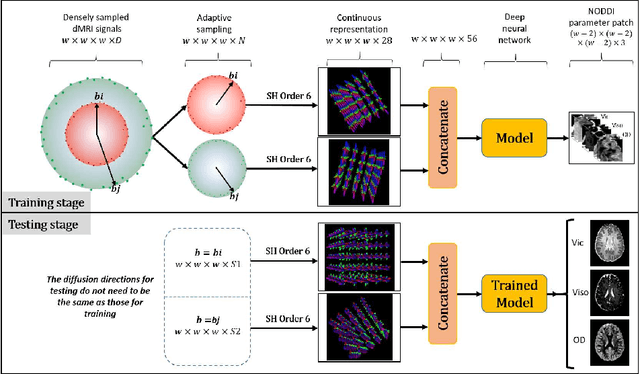 Figure 1 for RobNODDI: Robust NODDI Parameter Estimation with Adaptive Sampling under Continuous Representation