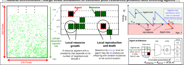 Figure 1 for Eco-evolutionary Dynamics of Non-episodic Neuroevolution in Large Multi-agent Environments