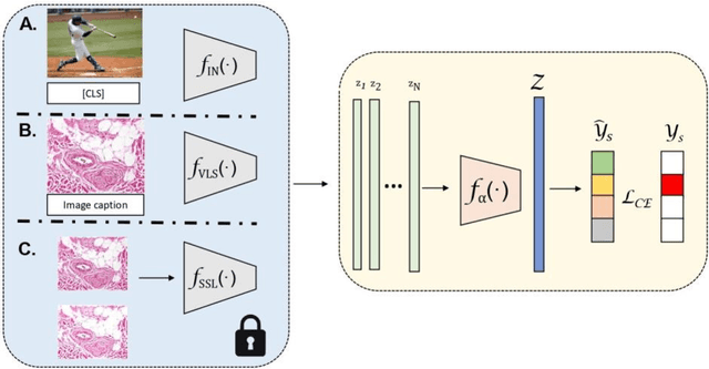 Figure 1 for Foundation Models for Slide-level Cancer Subtyping in Digital Pathology