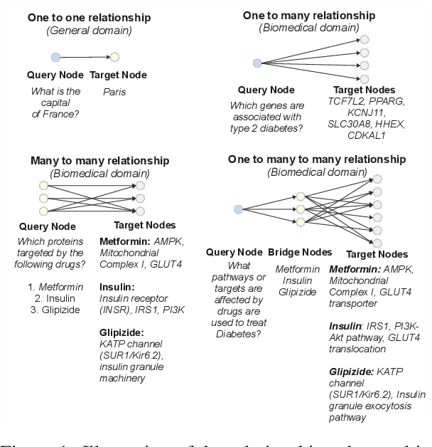 Figure 2 for BioHopR: A Benchmark for Multi-Hop, Multi-Answer Reasoning in Biomedical Domain