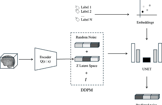 Figure 1 for Diffusion Models for conditional MRI generation
